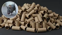  So werden Sie Mäuse in Ihrem Zuhause mit einem Toilettenbürstenhalter los: eine wirksame selbstgebaute Falle